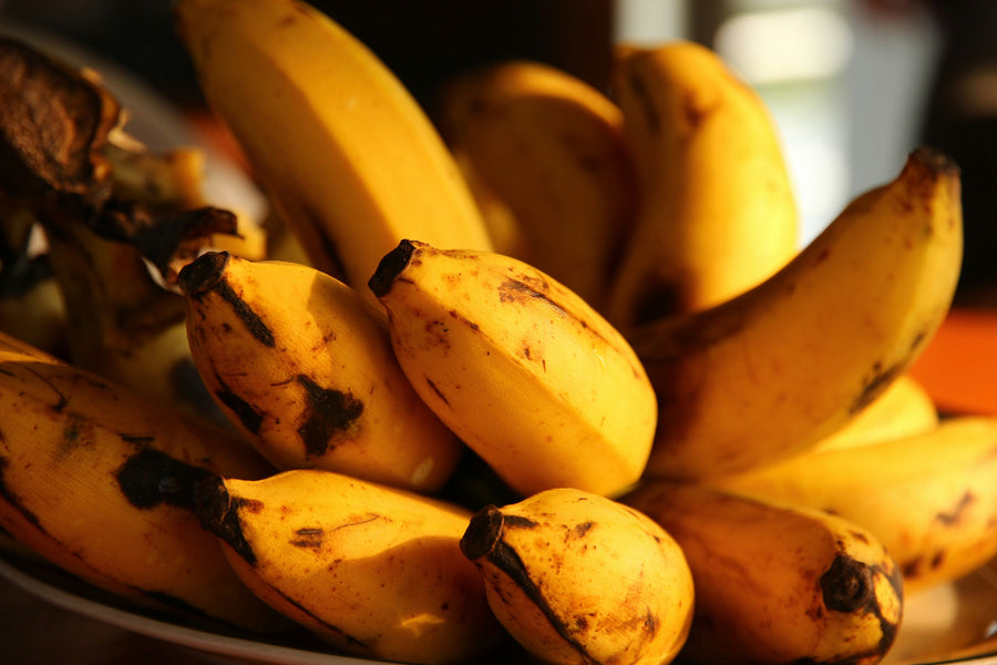 Can Dogs Eat Bananas? A Vet-Reviewed Guide for UK Dog Owners