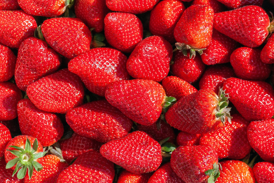 Can Dogs Eat Strawberries? Yes, Here's How to Feed Them Safely