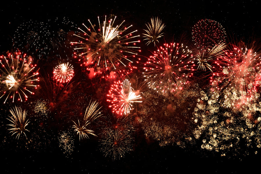 How to Keep Your Dog Calm on Bonfire Night: A Complete Prep Guide