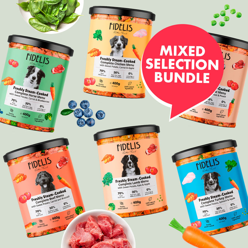 Fresh Menu • Mixed Selection Bundle