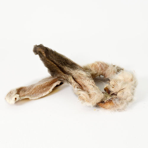 Rabbit Ears with Fur