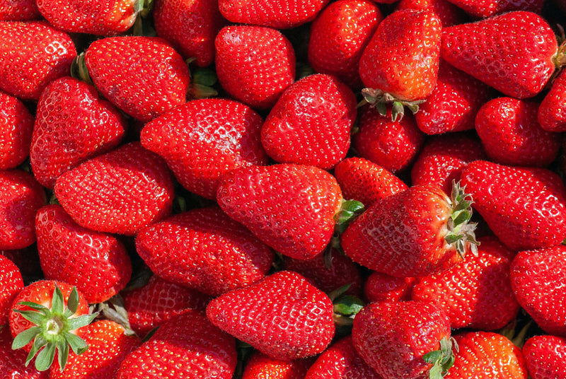 Can Dogs Eat Strawberries? Yes, Here's How to Feed Them Safely
