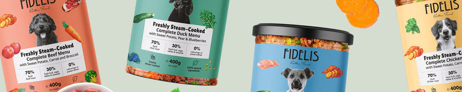 What are the benefits of feeding natural dog chews?