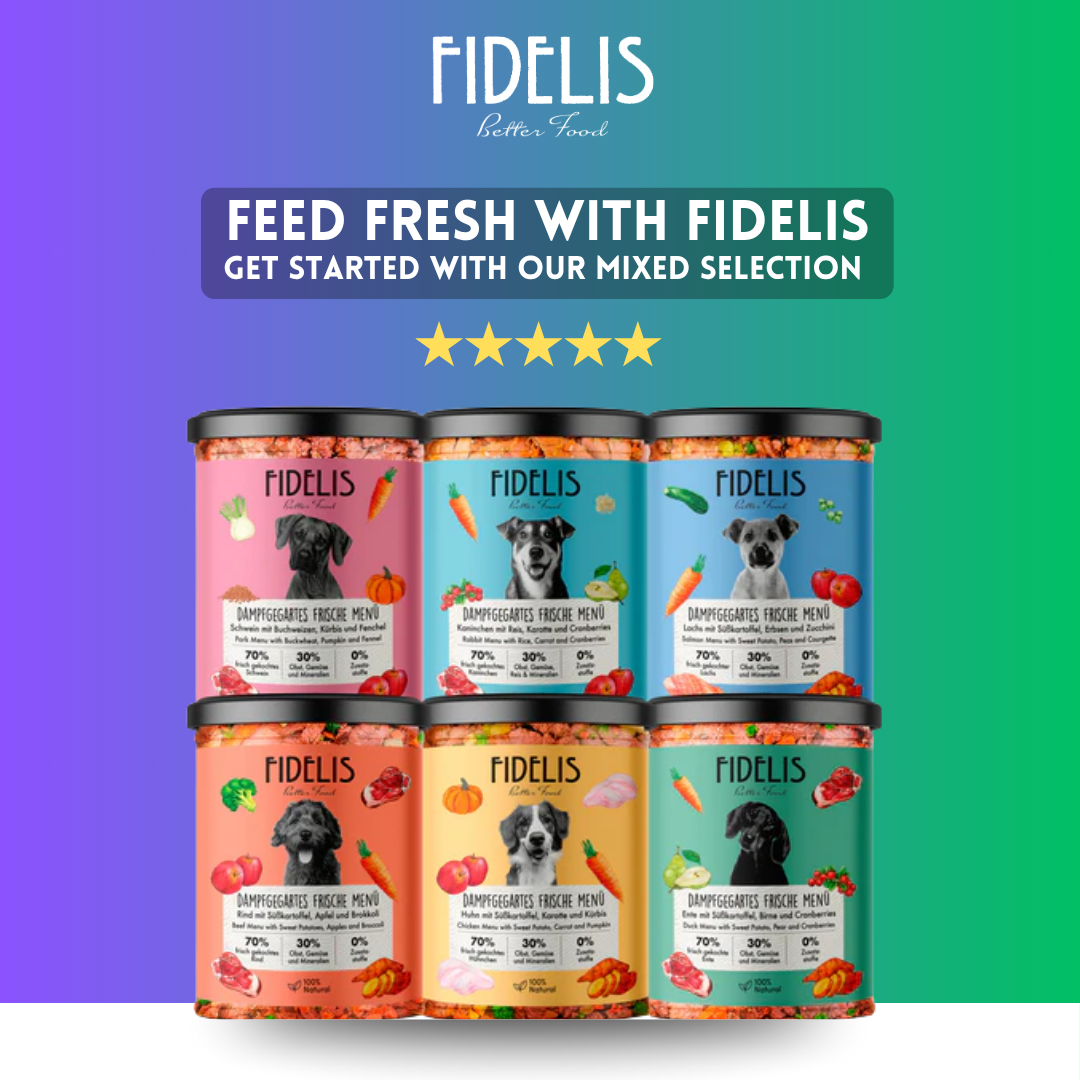 Fresh Dog Food - Buy Natural Shelf-Stable Fresh Food for Dogs