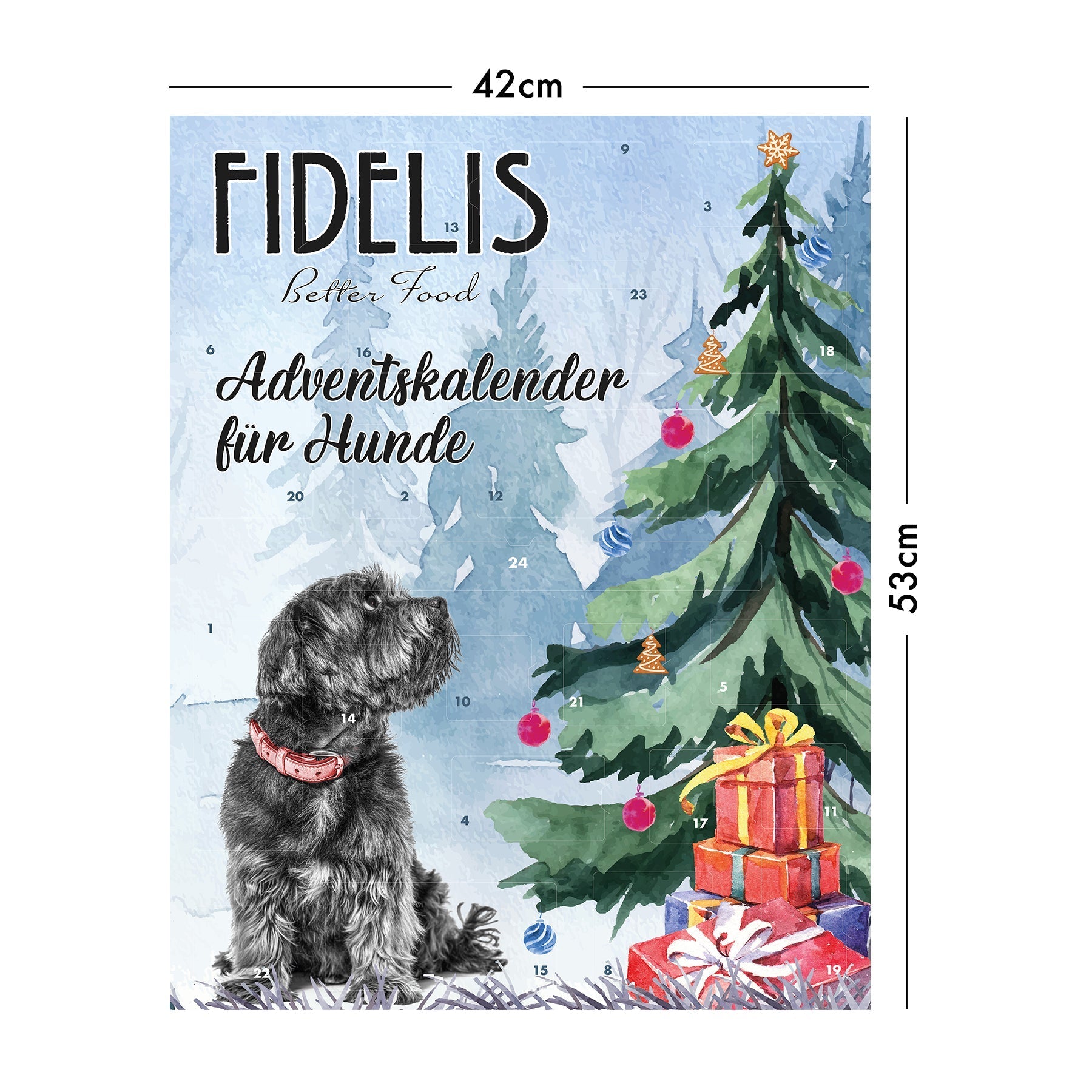 XL Advent Calendar for Dogs