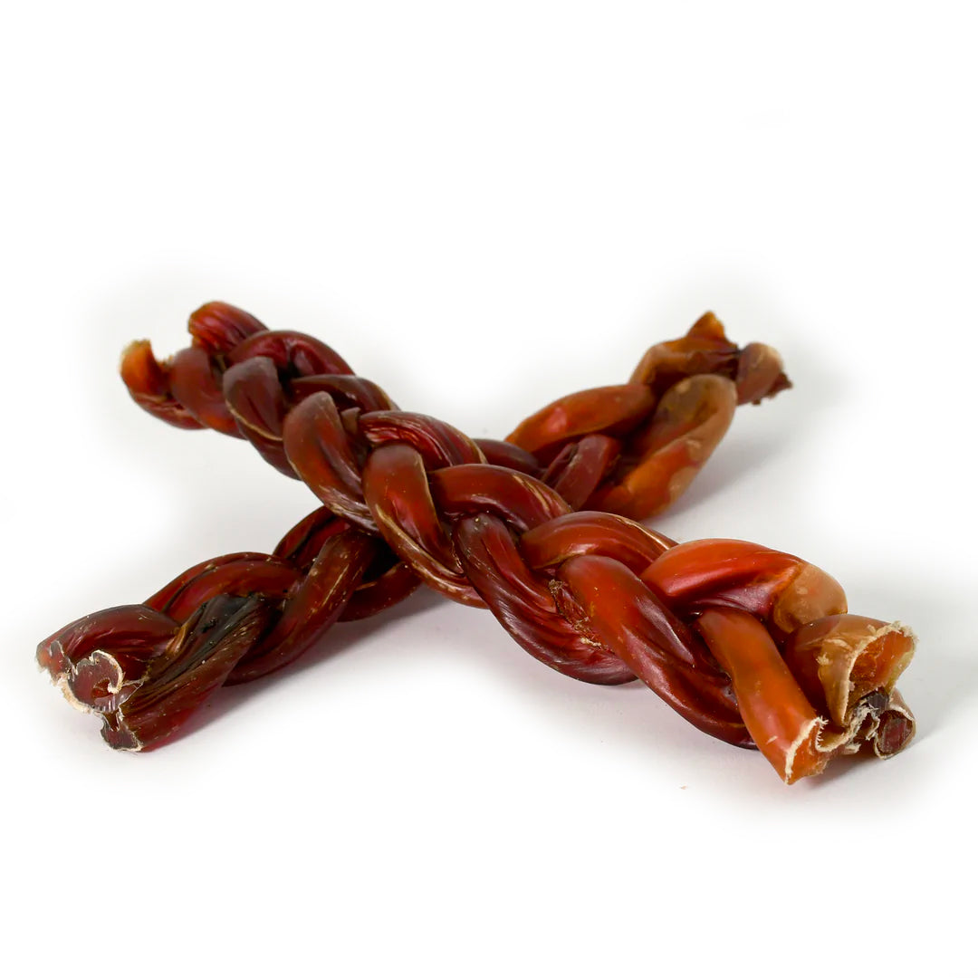 Braided Bully Pizzle Stick 25cm 1pc