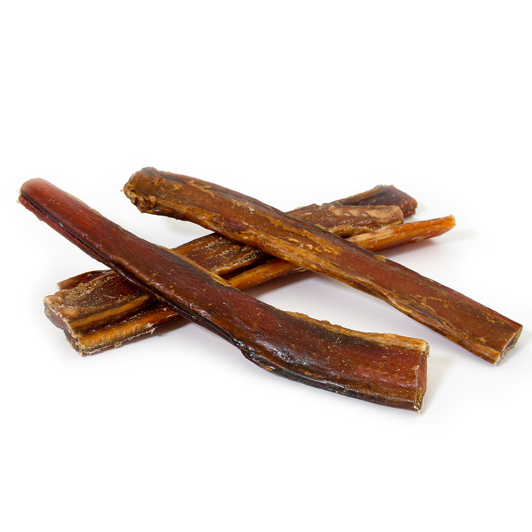 Bully Pizzle Stick 25cm