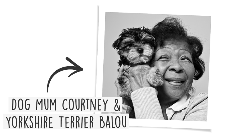 Better Than Dry Food