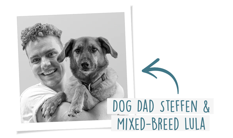 Better Than Canned Food