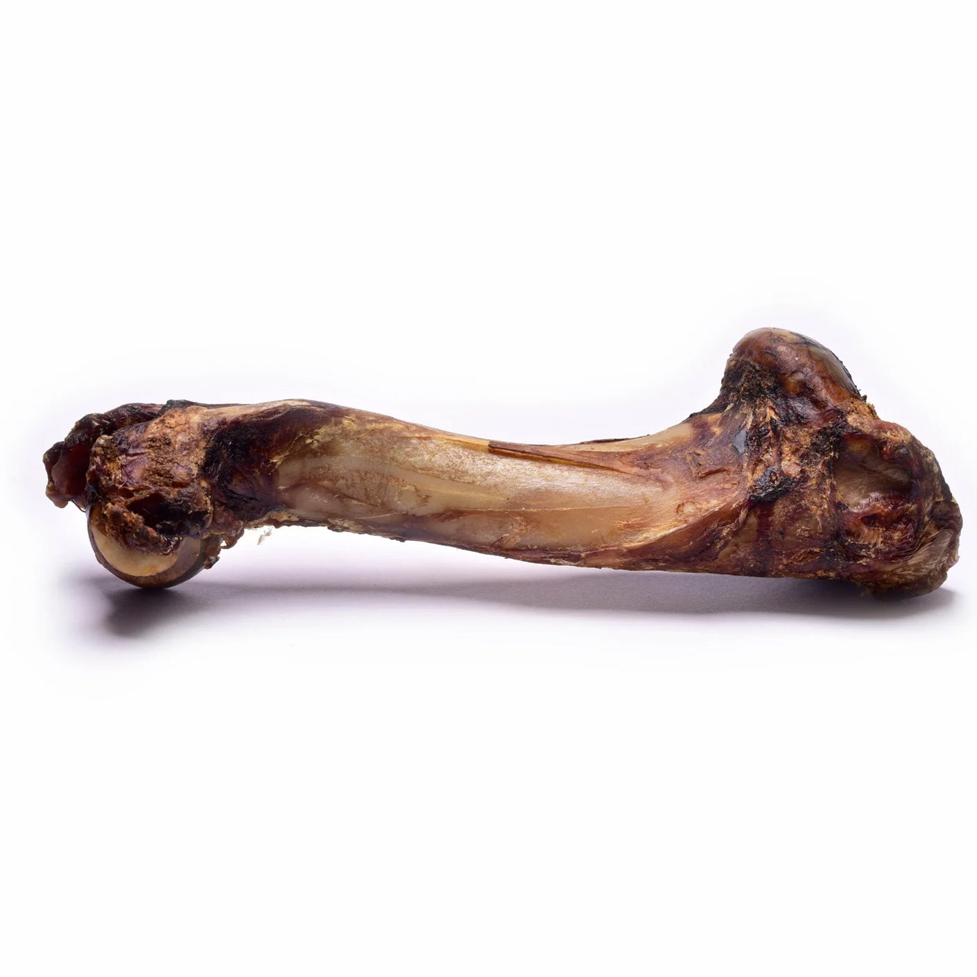 Venison Shoulder Bone