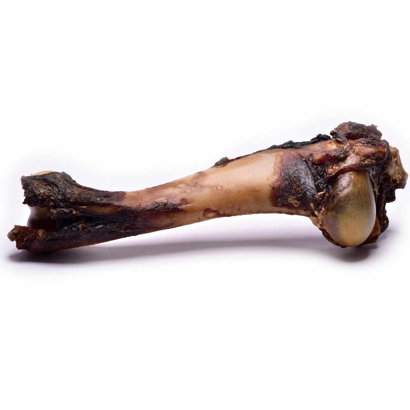 Venison Shoulder Bone